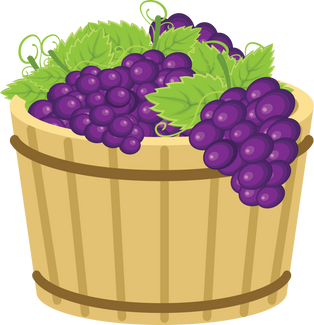 Wooden Basket with Grapes Illustration